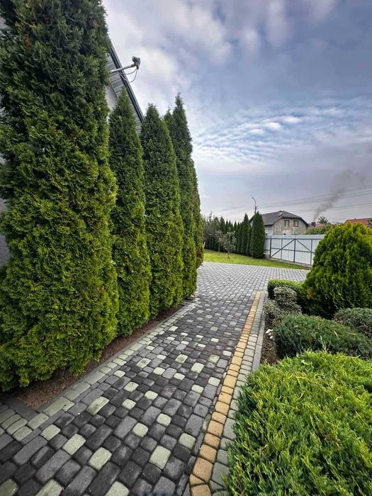 Продається будинок у Тячеві