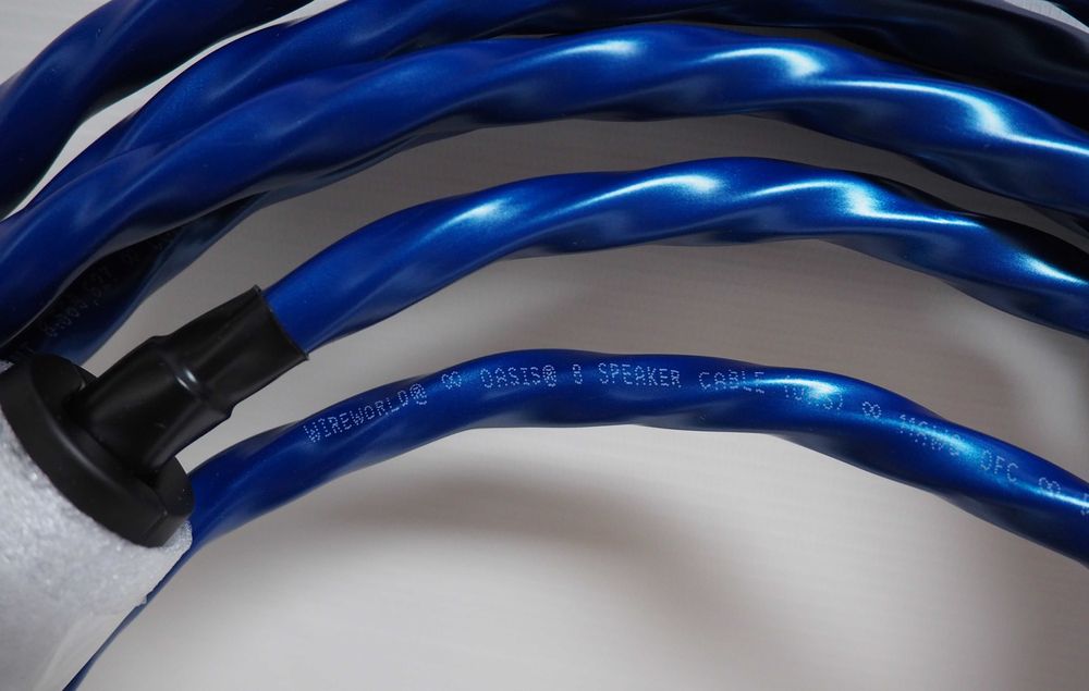 Wireworld OASIS 8  kabel głośnikowy - 2x2m/wyprzedaż !!!