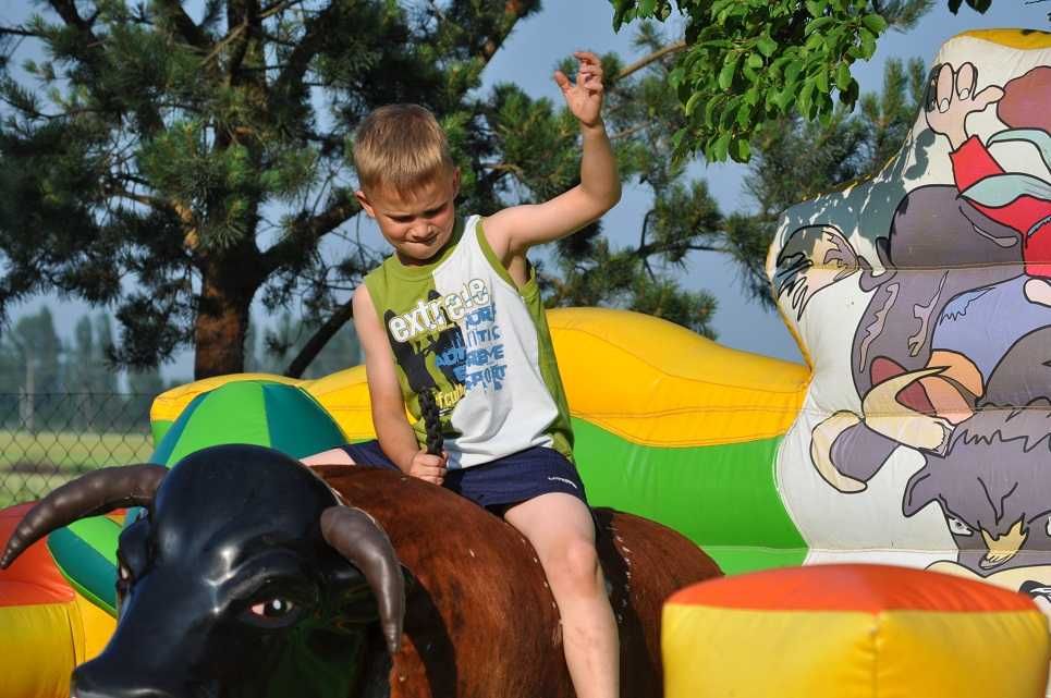 rodeo byk ,dmuchańce