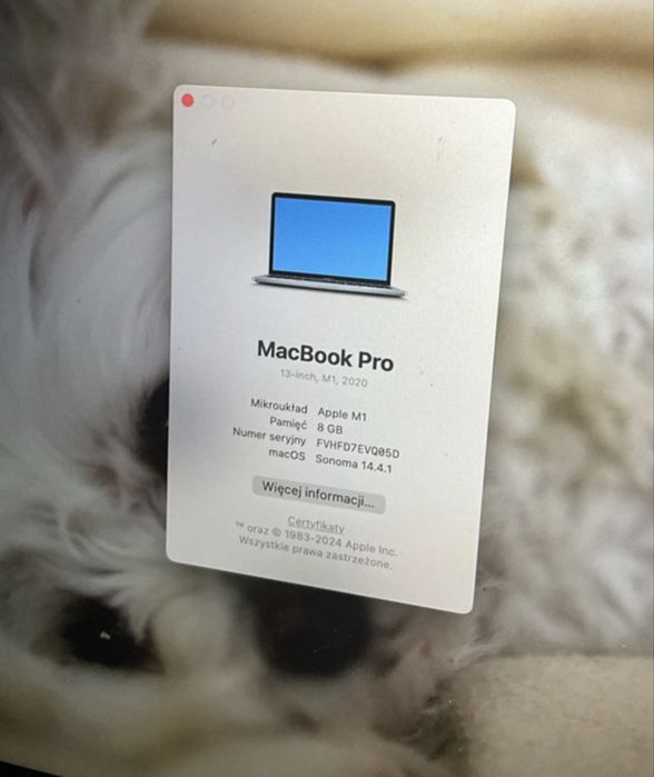 MacBook Pro M1 256GB
