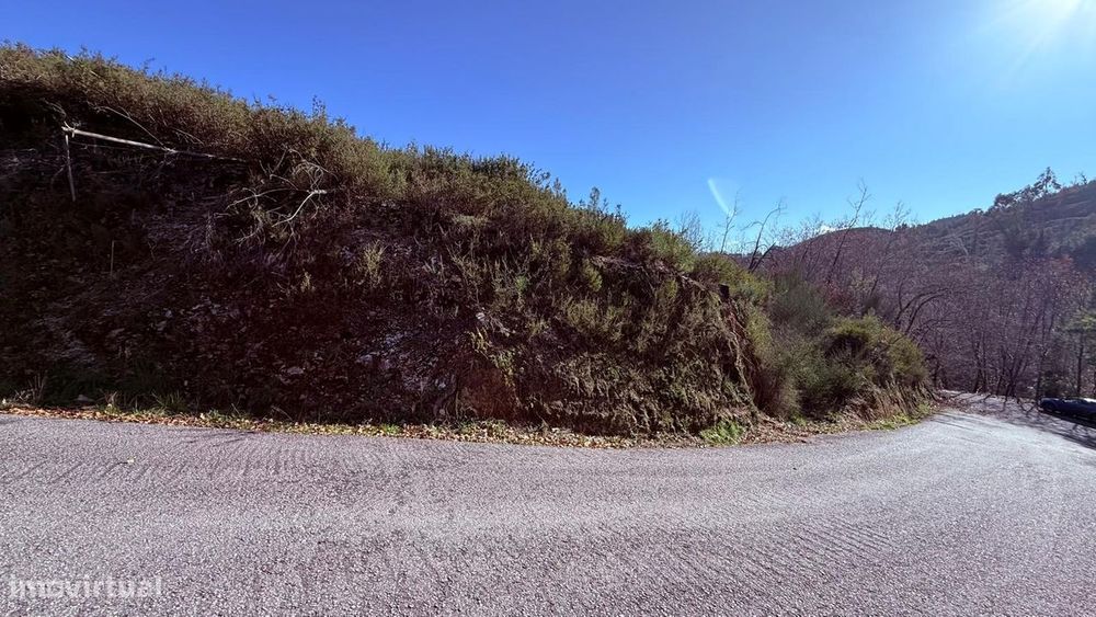 Terreno em Veade, Gagos e Molares