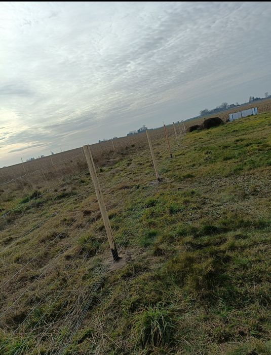 Ogrodzenie leśne tymczasowe budowlane