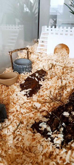 Klatka dla chomika – DUŻE akwarium 80×35×40 cm | naturalne | NOWE