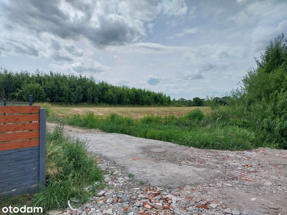 Rezerwacja, Jezioro, Park, WZ bezterminowe, Pełne media - Widok 5