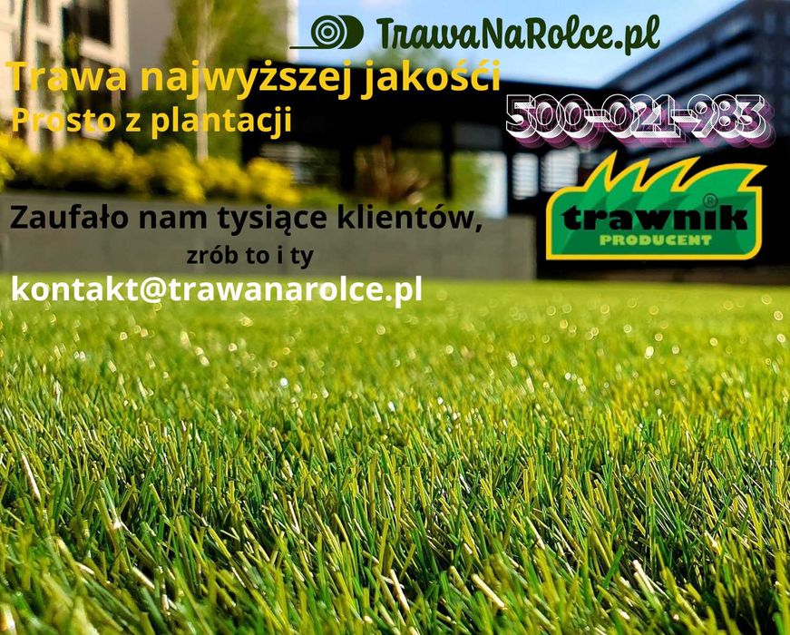 Trawa z rolki, trawnik rolowany PREMIUM trawa w rolce