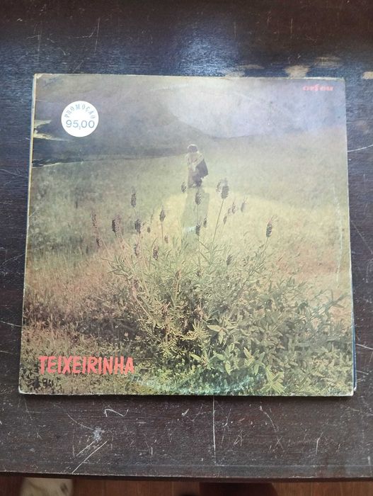 Discos Vinil (variados)