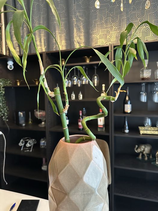 Encerramento de espaço comercial