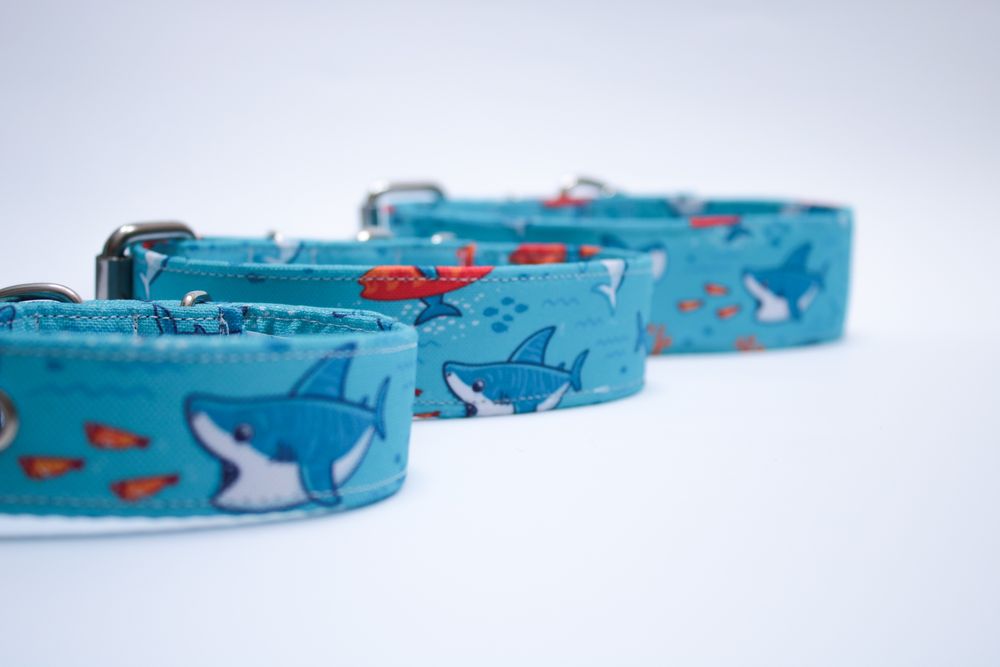 Obroża dla psa mocna regulowana 3cm wzory dostepne klamra dziurki