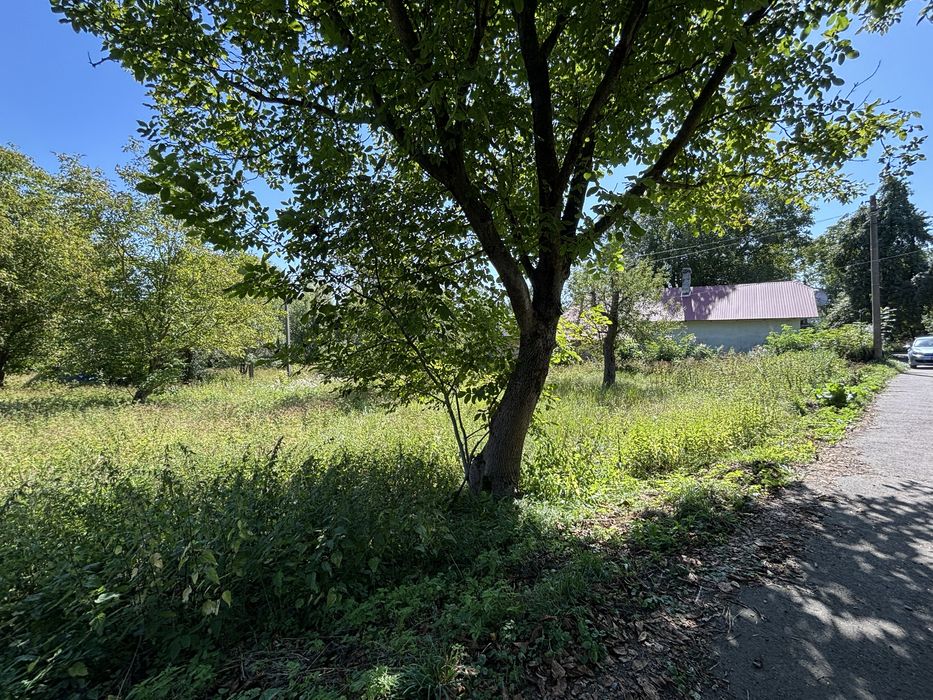 Продаж ділянка 28 сотих. Сілець. Світло. Газ. Вода. Асфальт. Будинки