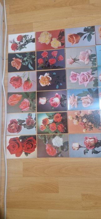 Kolekcja 56 Starych Pocztówek Prl z Kwiatami