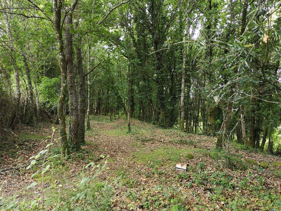 Terreno rústico junto à ecovia do Vez 4.000 m2