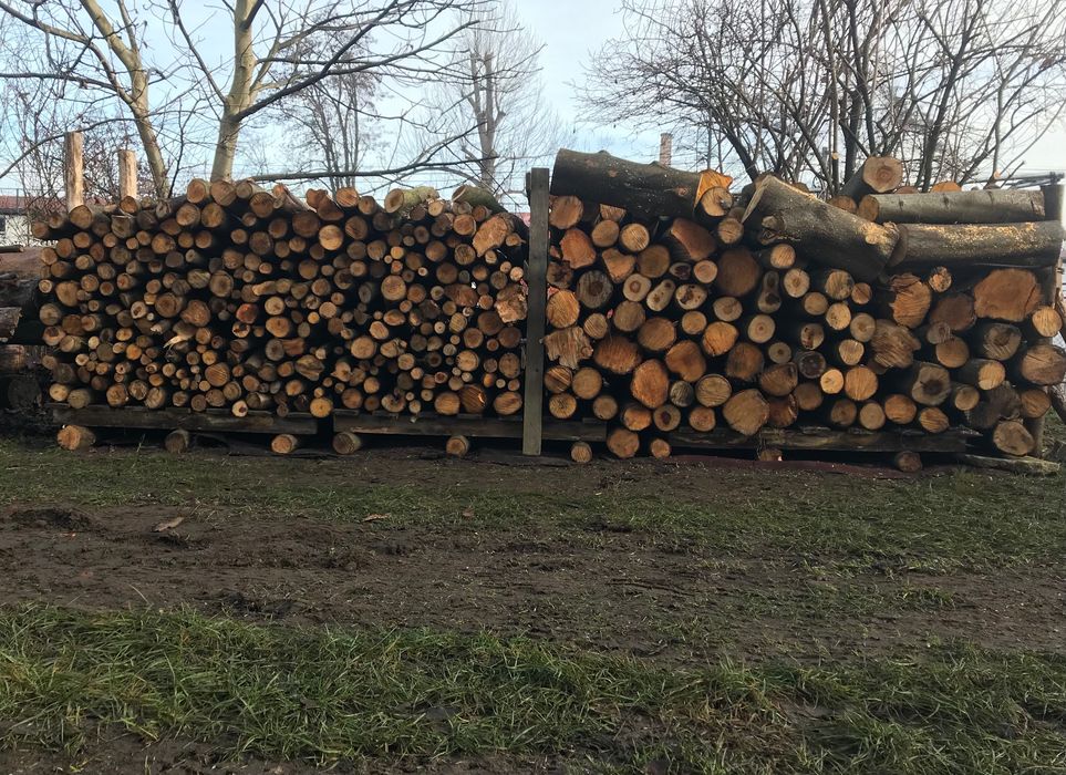 Drewno Olcha Olszyna na opal, do kominka lub wędzenia.