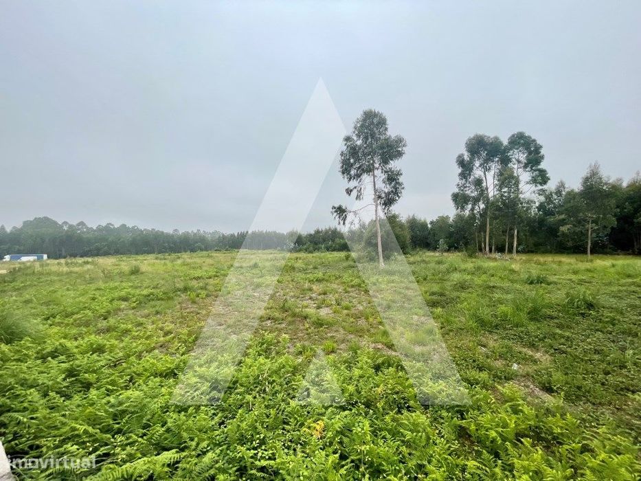 Terreno para construção em Rio Meão - Santa Maria da Feira