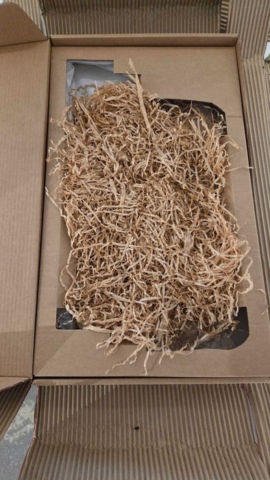 Rabbit Edition - 3D - Bordalo ii