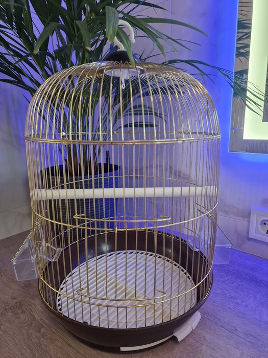 Золота клітка для птахів, розмір 33×53 см