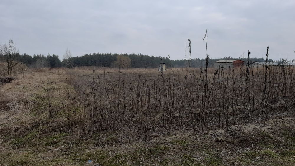 Продаж земельної ділянки в с. Кийлів Бориспільського району