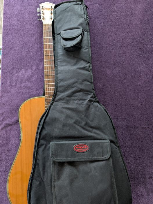 Електоакустика Washburn D46CSE