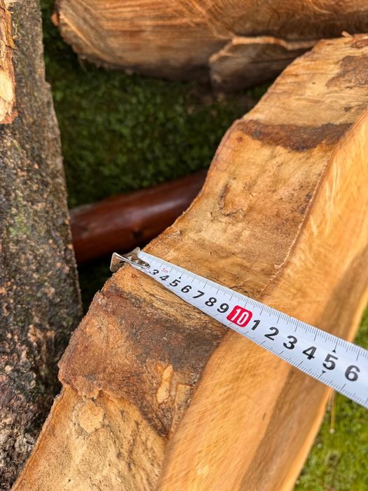 Jesion plaster pień