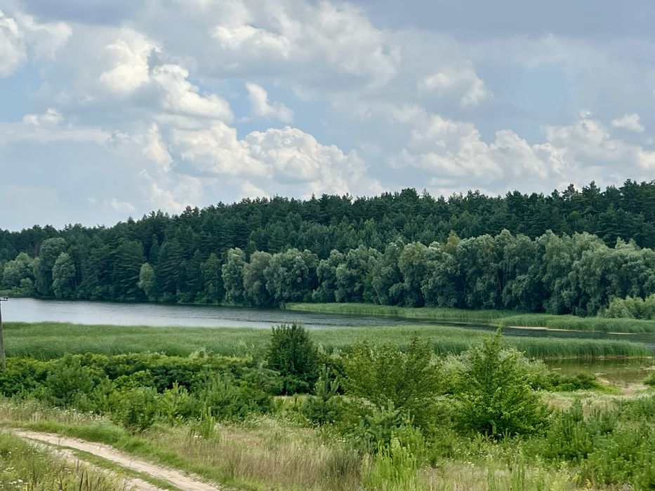 6 Га соснового лісу біля озера | 3 ділянки | Кудрівка