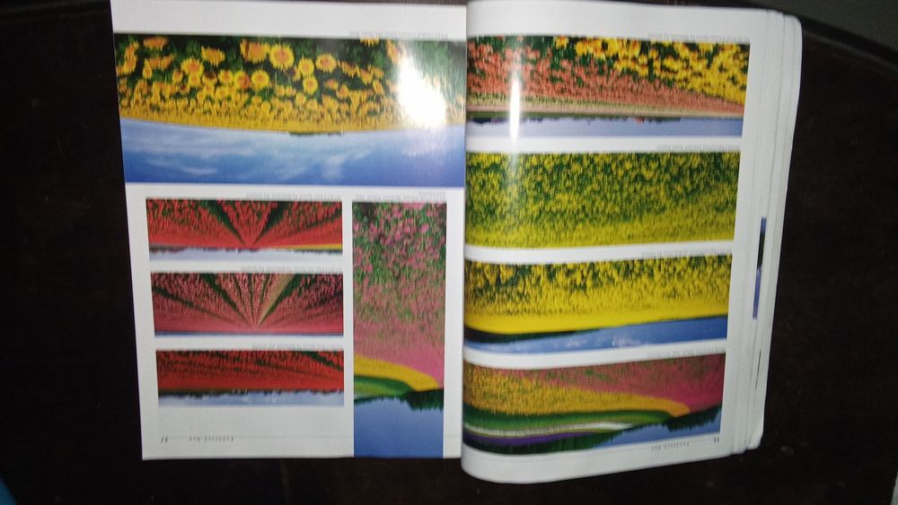 1000 IMAGENS MUNDIAIS Livro 256 Pag. 8 Fotos