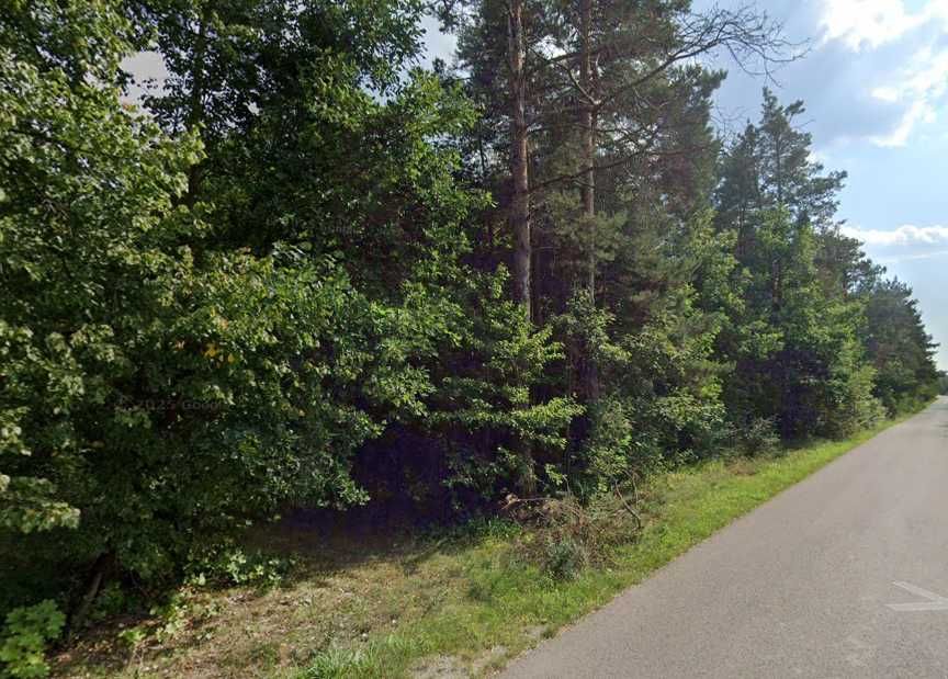 Działka leśna z potencjałem rekreacyjnym – 6000 m²