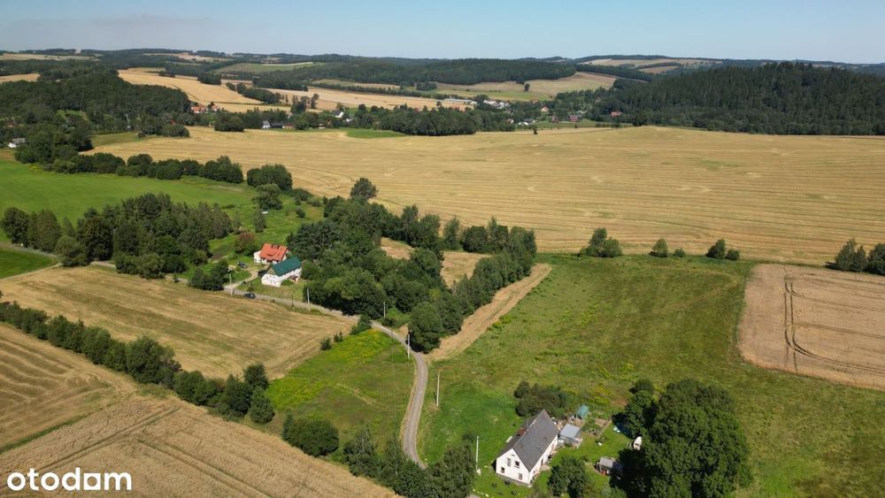 Pogórze Izerskie - Działka Siedliskowa+Rola - Widok 6