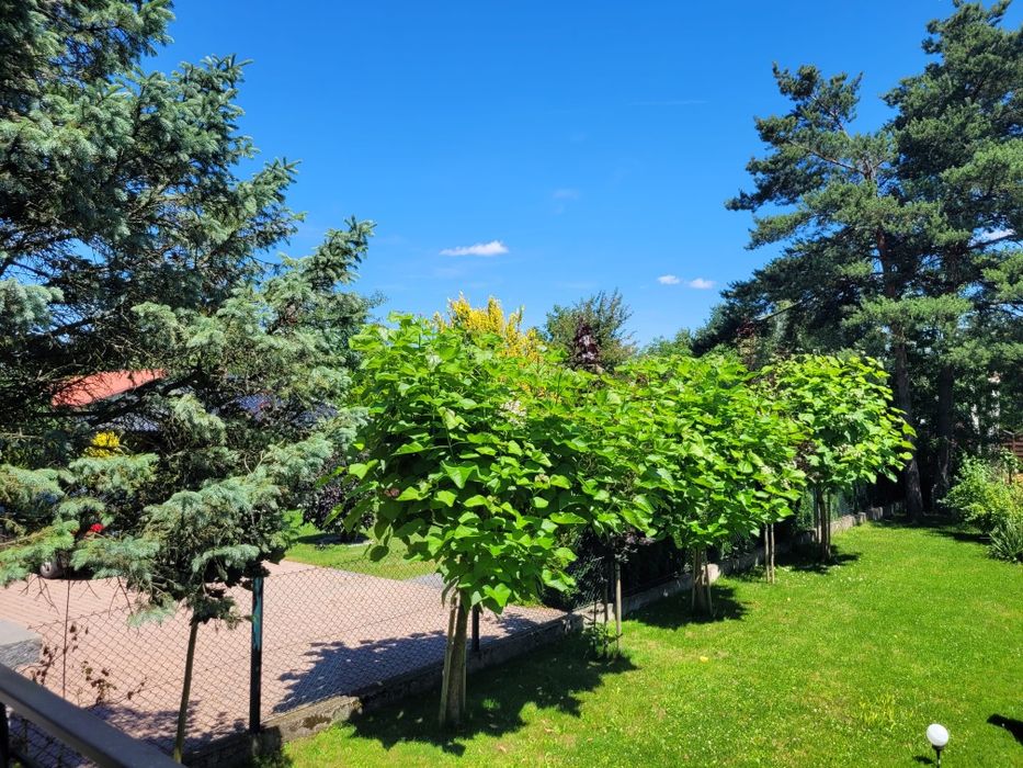 Dom – Bochnia - Widok 4