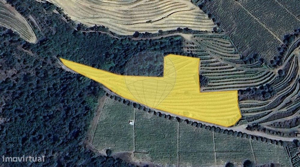 Terreno  para venda — Folgosa, Viseu