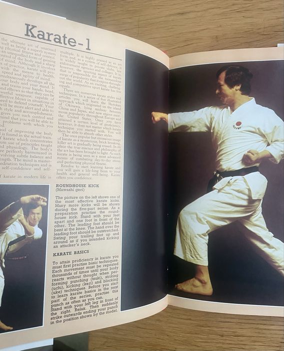 AN ILLUSTRATED INTRODUCTION TO THE MARTIAL ARTS