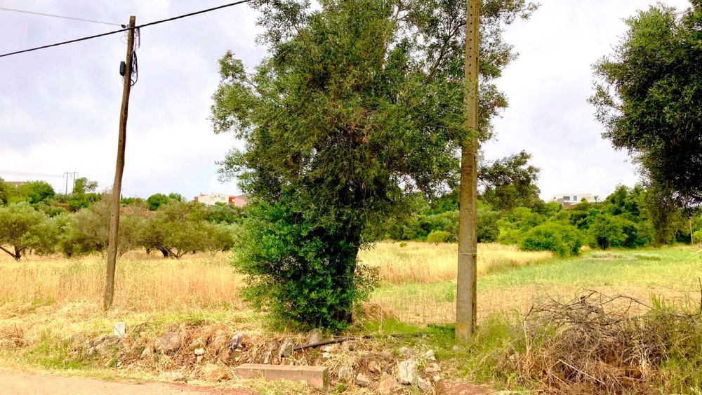 Terreno Rustico São Brás com Agua