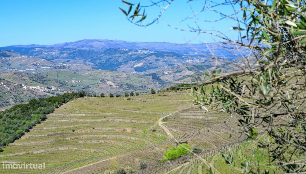 Quinta vínicola à venda no Peso da Régua no Douro Valley
