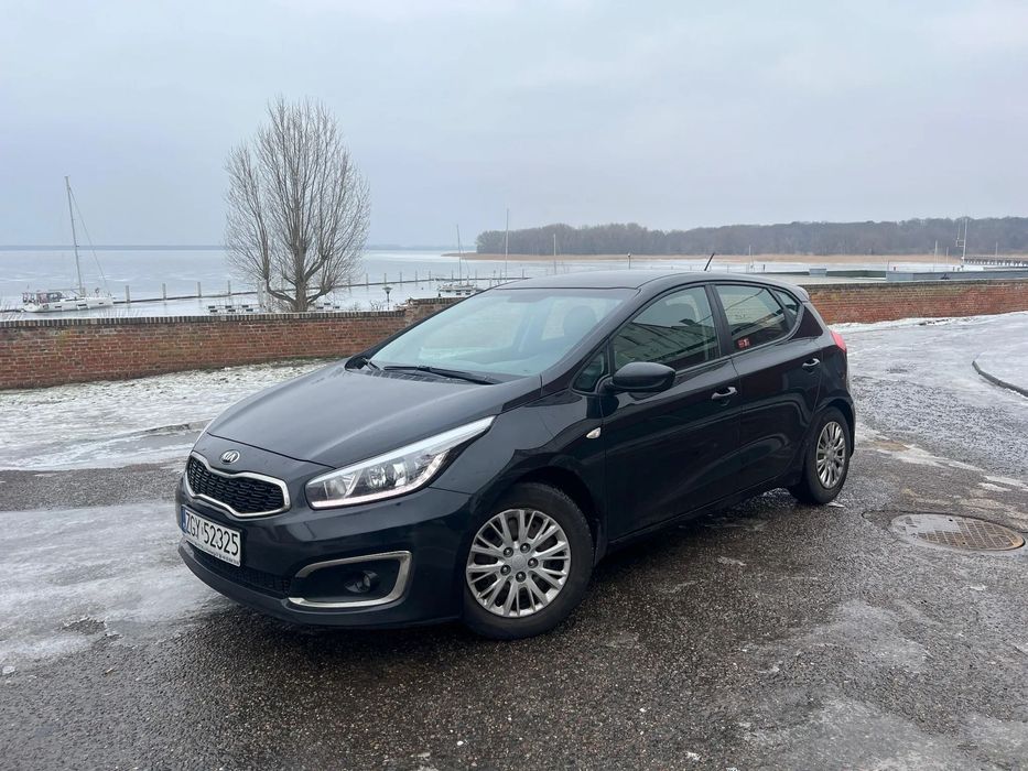 Kia Ceed Kia Ceed 1.6CRDI 110KM z polskiego salonu