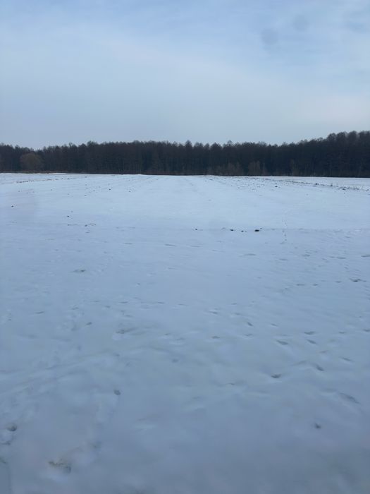 Земельна ділянка! 55соток!