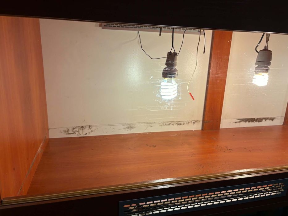 DUZE TERRARIUM ,regulowana wysokość