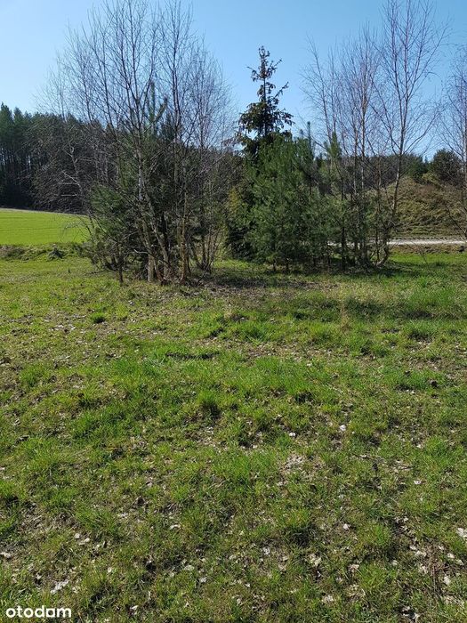 Piękna działka 1234 m² | MPZP | blisko Trójmiasta | bezpośrednio - Widok 4