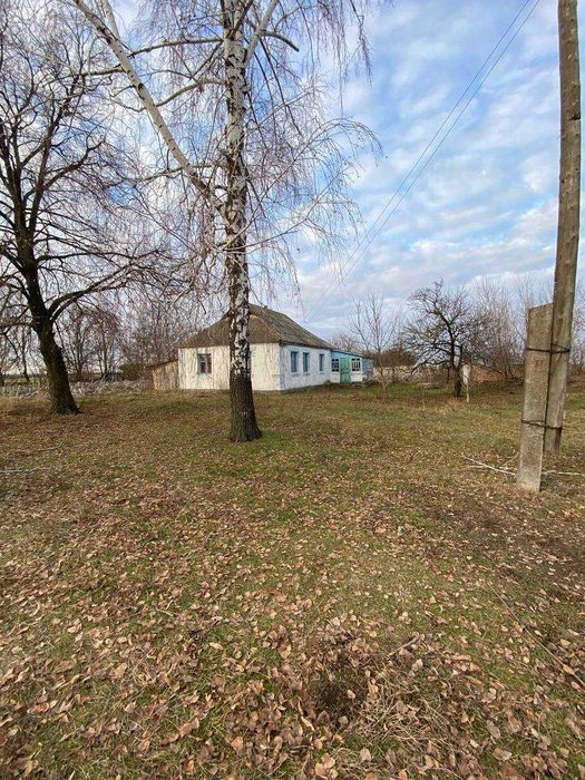 Продаж будинку в селі Мовчанівка