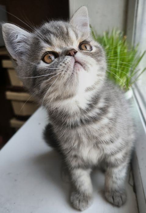 Мальчик красавчик