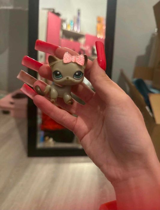 LPS kotek shorthair
