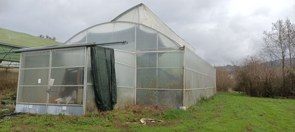 Estufa Agrícola 10m x 20m