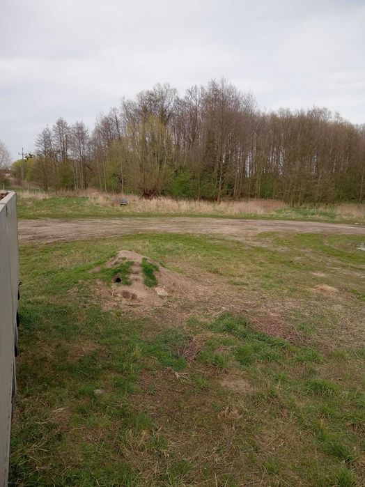 Działka budowlana Brzezia Łąka