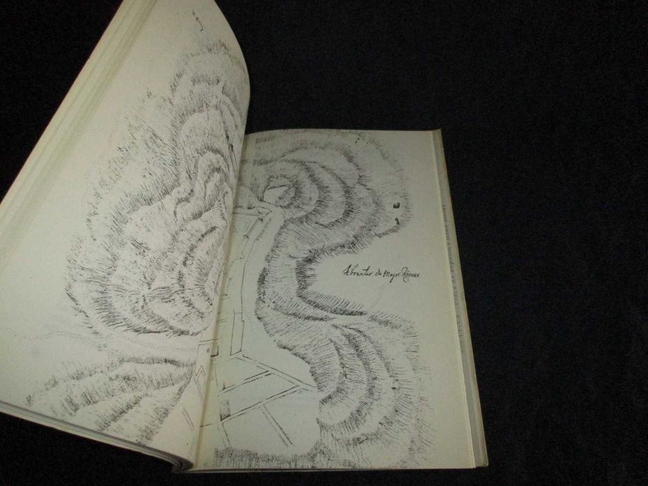 Livro Toponímia Abrantina Eduardo M. T. Campos