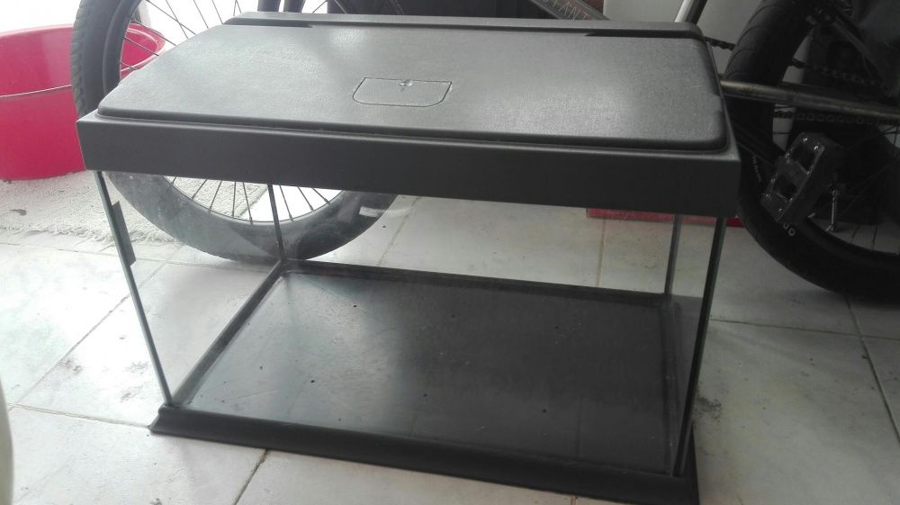 Aquário com acessórios.