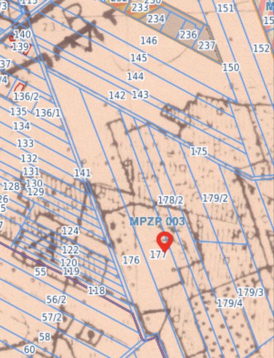 Działka rolno-leśna 2,43 ha | Nowe Wągrodno | 30 km od Warszawy - Widok 4