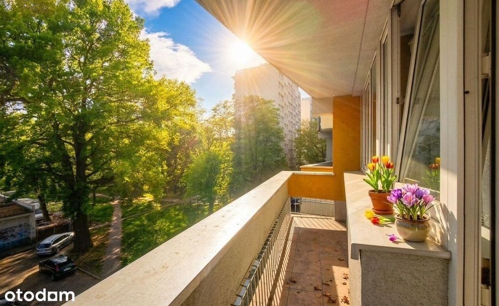 Białowieska, niska zabudowa, balkon, rozkład