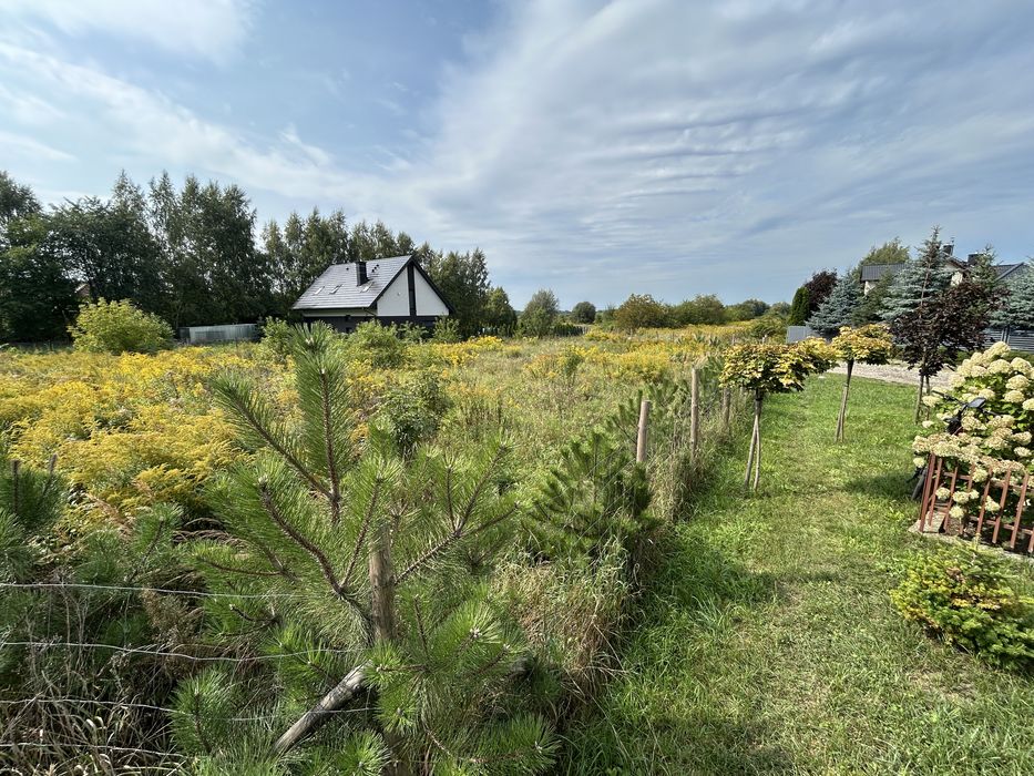 Działka budowlana 1500 m² Stare Złotno - Widok 5