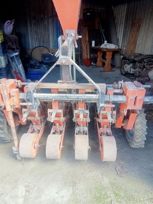 Semeador de  Cenouras