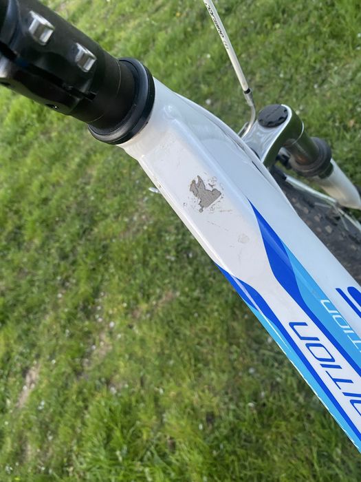 Rower kross bialo niebieski