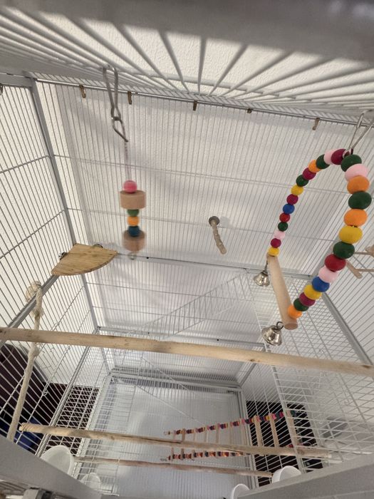 Gaiola para pássaros com rodas