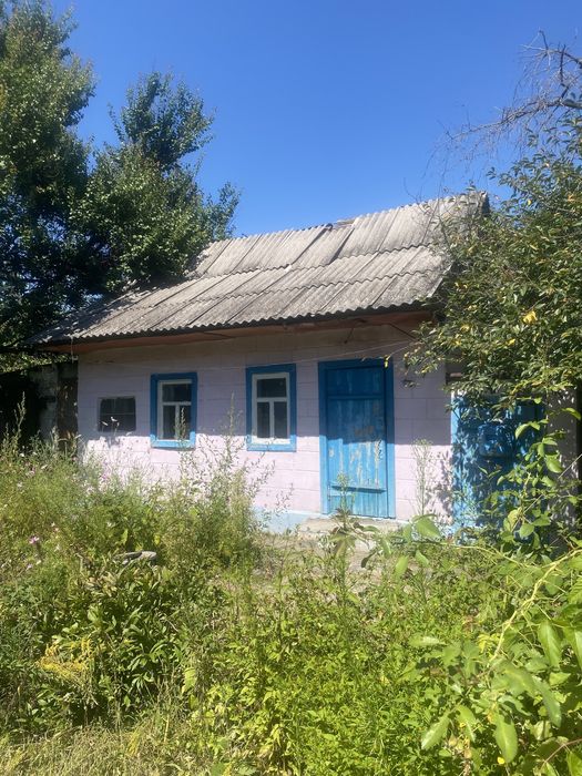 Продам будинок м Кам‘янське Романково