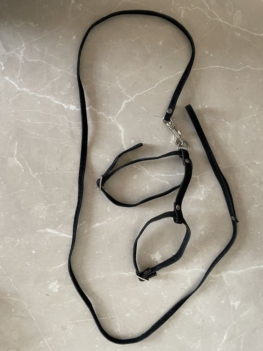 Шлейка для кошеек и котов